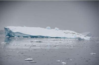  Pérdida anual de hielo de la Antártida