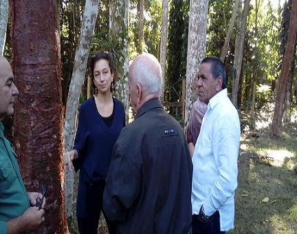  Directora general de la UNESCO visita Sierra del Rosario 