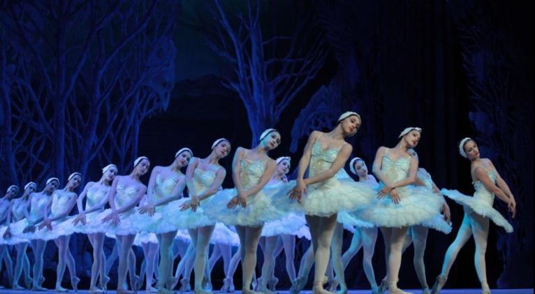 Academias para Enseñanza de Ballet Academias para Enseñanza de Ballet