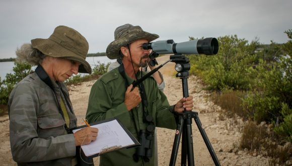Expertos en observación de aves acuáticas. Expertos en observación de aves acuáticas.