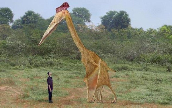 Encuentran en Reino Unido fósil de pterosaurio gigante