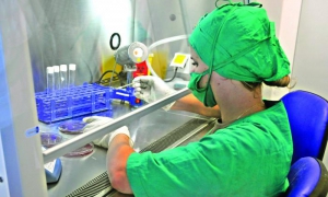 Laboratorio