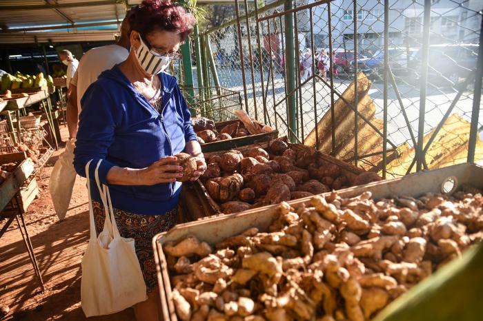 Camagüey, 6 feb.- Camagüey comenzará la aplicación de los Decretos- Leyes 30 y 31, contenidos en la Gaceta Oficial Extraordinaria número 8 correspondiente al actual año, relativos a las sanciones ante la violación de la política de precios y tarifas, y las infracciones de las medidas sanitarias para la prevención y enfrentamiento de la Covid-19, respectivamente.  En conferencia de prensa, Félix Pino Pérez, director provincial de Finanzas y Precios, explicó que en el caso de la última normativa, entrará en vigor desde el lunes 8 de febrero, en tanto la otra lo hará también en los próximos días, y en ambas se prevén acciones de rigor contra aquellos que no cumplan lo establecido.  Sobre las violaciones de precios, el instrumento jurídico establece que se aplicará a las personas naturales relacionadas con la comercialización de bienes y servicios, de forma mayorista o minorista, y las sanciones pueden ser la multa, el decomiso, la venta forzosa y la obligación de hacer.  Entre las contravenciones están la NO exposición de los productos en la tablilla, carta o menú; el cobro sin tener en cuenta la afectación de la calidad; el mantenimiento en los inventarios de productos con precios diferentes a los oficialmente aprobados; la retención o aplazamiento de venta de los productos; y la existencia de precios abusivos o especulativos.  Las cuantías de las multas varían en dependencia de la gravedad del hecho o de la infracción, y oscila entre 2500 pesos y 15 000, con un plazo para pagarla de 30 días naturales.  El monto se duplica si no cumple ese término, y posterior a esa segunda oportunidad, de no aprovecharse, se dará inicio a un proceso penal.  En el encuentro de información para la prensa, participaron también responsables de la política de precios en diferentes organismos y entidades estatales, y Antonio Delgado Sánchez, máximo responsable de la Dirección Integral de Supervisión, ratificó que se continúa la revisión de este asunto, vinculado con la Tarea Ordenamiento, pues sobre todo en la gastronomía son muchas las insatisfacciones populares.  El director provincial de Finanzas y Precios aseguró que se han realizado estudios con empresas como la Cárnica y el Lácteo, para evaluar la disminución de los precios mayoristas, que sin dudas impactan en los minoristas  Por su parte, Manuel Almuedo Perera, jefe de la Dirección Integral de Supervisión en el distrito Cándido González del municipio cabecera, aseveró que son visibles los procesos de mala formación de precios en los costos excesivos que hoy abona la población por varios surtidos.  Sobre el Decreto-Ley 31, relativo a las infracciones de las medidas sanitarias para la prevención y enfrentamiento de la Covid-19, Feiser Fernández Bauzá, jefe del Departamento de Control y Fiscalización de Higiene y Epidemiología en la provincia agramontina, dijo que se trata de un instrumento jurídico que refuerza la exigencia sobre las personas naturales.  Se establecen multas de entre 2000 y 3000 pesos por violaciones como el no uso o uso incorrecto del nasobuco, la asistencia a las escuelas y centros de trabajo con síntomas sugerentes a la Covid-19, la realización de fiestas, juegos o la aglomeración de personas en espacios públicos, entre otras indisciplinas.  La próxima entrada en vigor en Camagüey del Decreto-Ley 30, que versa sobre las contravenciones personales, sanciones, medidas y procedimientos por la violación de las normas que rigen la política de precios y tarifas; y del Decreto- Ley 31 desde el lunes 8 de febrero, referente a las disposiciones para prevenir el nuevo coronavirus, centra su mirada en estos dos importantes procesos que vive hoy la sociedad cubana: la Tarea Ordenamiento y el enfrentamiento a la pandemia. (Juan Mendoza Medina/ Radio Cadena Agramonte) (Foto de archivo: Granma)
