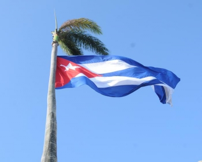 Palma real y bancera cubana