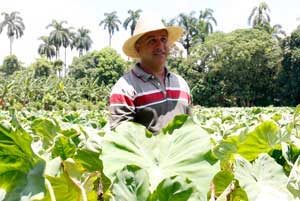 Productor agroecológico cubano Fernando Doni