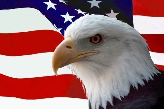 Halcón junto a la bandera de EEUU.