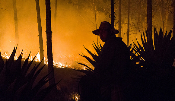 Fuego en Pinares de Mayarí, Holguín, detectado el 18 de febrero de 2023. Una vez extinguido, será el momento de evaluar el daño ambiental, pero especialistas afirman que es grande y la recuperación tomará años. Foto: Emilio Rodríguez Pupo.