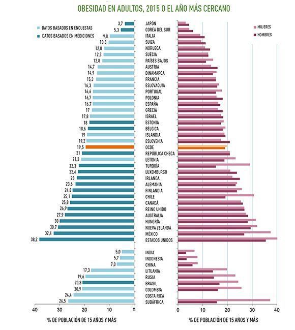 Infografía que muestra datos de obesidad por países