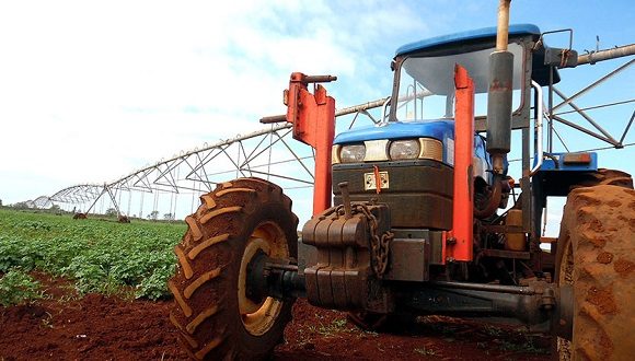 Cuba establecerá nuevos precios de productos agrícolas