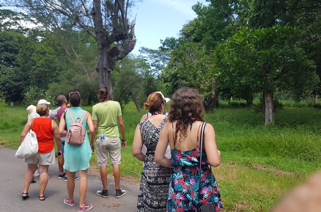 Esta maravilla vegetal constituye una atracción para el turismo nacional y extranjero.