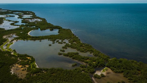 Sistema de lagunas costeras en el archipiélago cubano. Sistema de lagunas costeras en el archipiélago cubano.