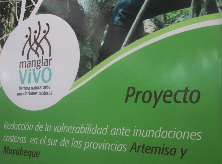 Banner alegórico al pyoyecto manglar vivo