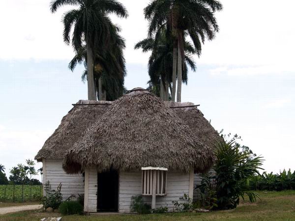 Casa de tabaco