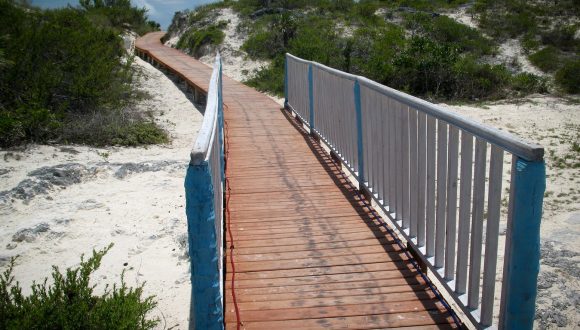 Pasarela para proteger un sistema de dunas costeras sensibles. Pasarela para proteger un sistema de dunas costeras sensibles.