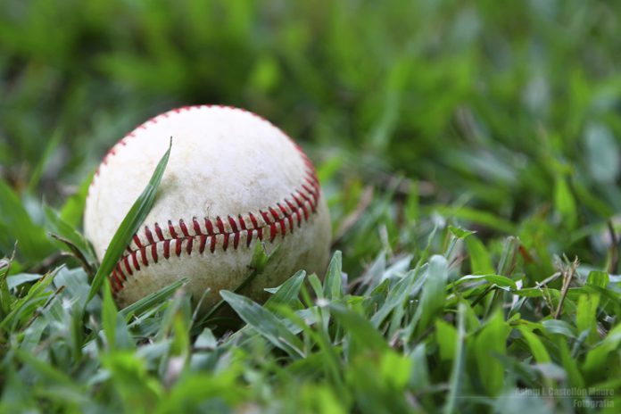 Pelota de béisbol