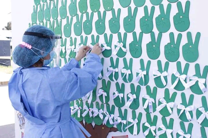  Tiene más lazos blancos el hermoso “Árbol de la Victoria”. (Foto tomada del Perfil en Facebook del Hospital La Caleta) 