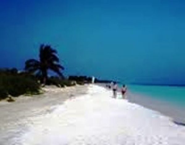 Destacan acciones de Tarea Vida en Jardines del Rey