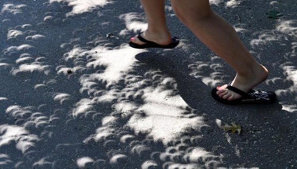 Un hermoso ejemplo de las sombras en forma de media Luna creadas por el eclipse solar. Foto: BBC News Un hermoso ejemplo de las sombras en forma de media Luna creadas por el eclipse solar. Foto: BBC News