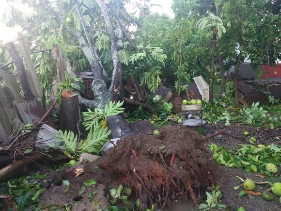 El huracán Ida dejó estragos en San Cristóbal. Foto: Thalía Fuentes Puebla/Cubadebate.