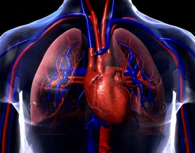 sistema respiratorio sistema respiratorio