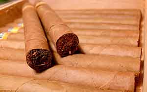 Tabacos cubanos