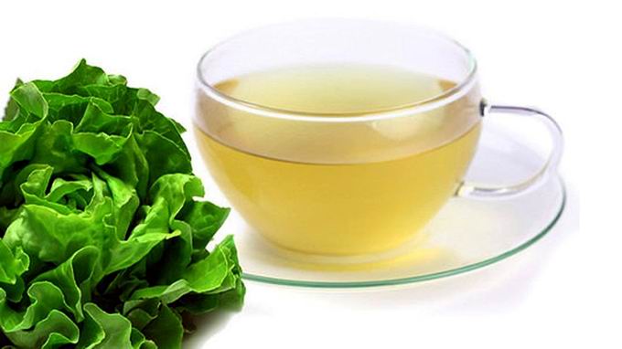 Té de lechuga