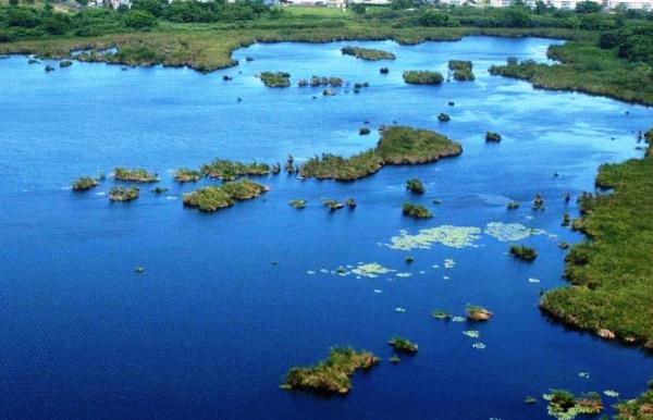 Humedal donde hay turberas