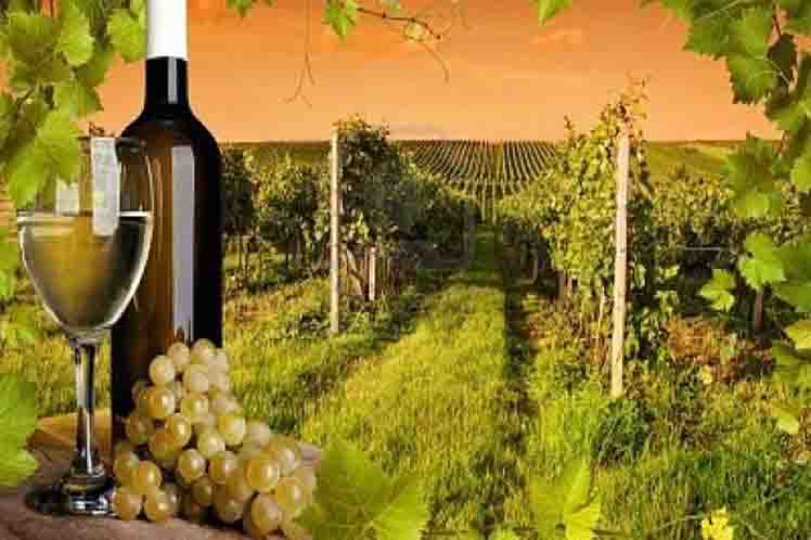 Imagen representativa al vino Imagen representativa al vino