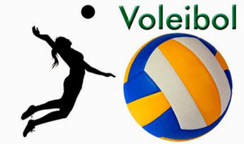  Copa Panamericana de Voleibol