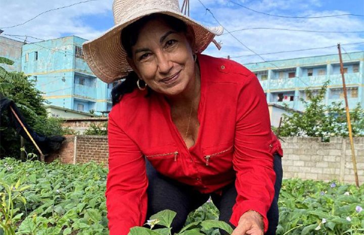 productora_cubana fao