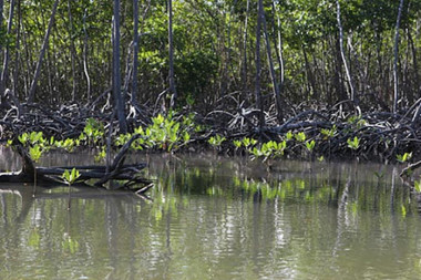 Cuba prepara intercambio climático con expertos