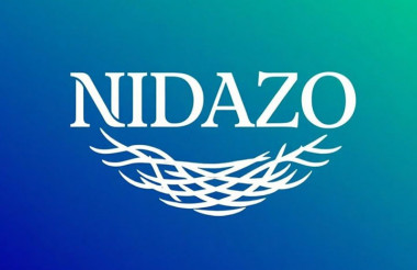 Nidazo: plataforma de comercio electrónico crece