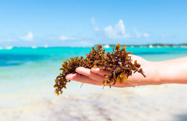 Cuba actualiza su agenda medioambiental septiembre 2026