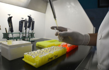 Científicos británicos en Holguín