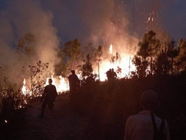 Incendio de grandes proporciones en San Juan y Martínez, Pinar del Rio