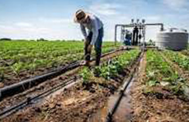  La FAO ofrece apoyo técnico al proyecto implementado desde el pasado año por el Ministerio de la Agricultura