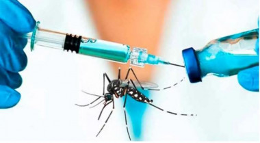 Vacuna contra dengue